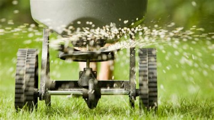 Can I aerate my lawn after fertilizing?