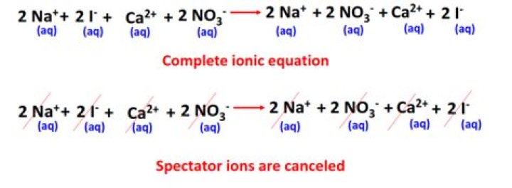 Can there be no net ionic equation?