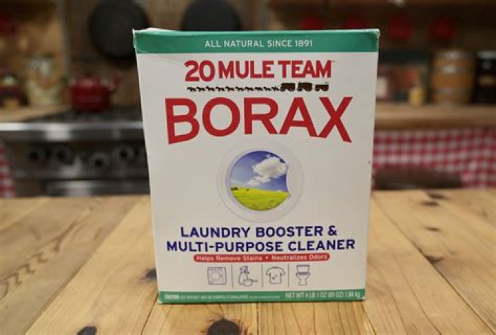 Can you use borax to clean concrete?