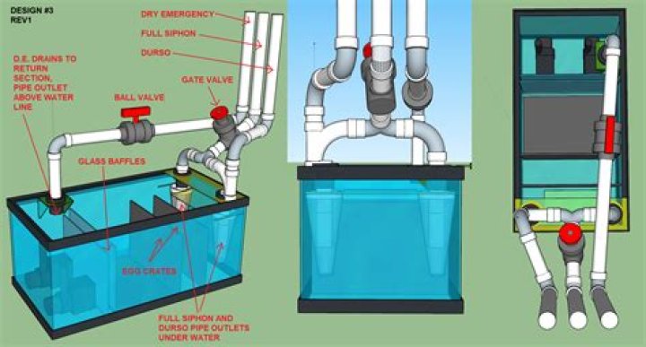 Do you need a sump for a freshwater tank?