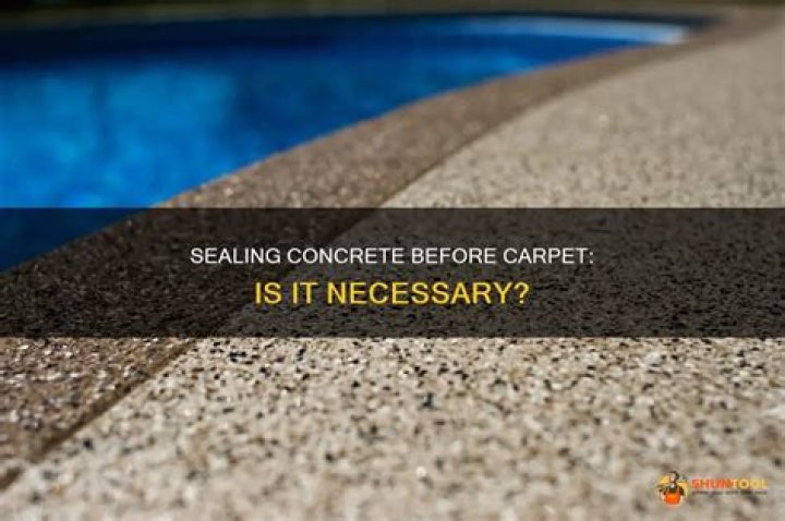 Do you need to seal concrete?