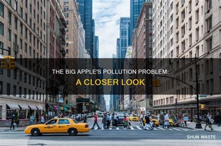 Does New York have pollution?