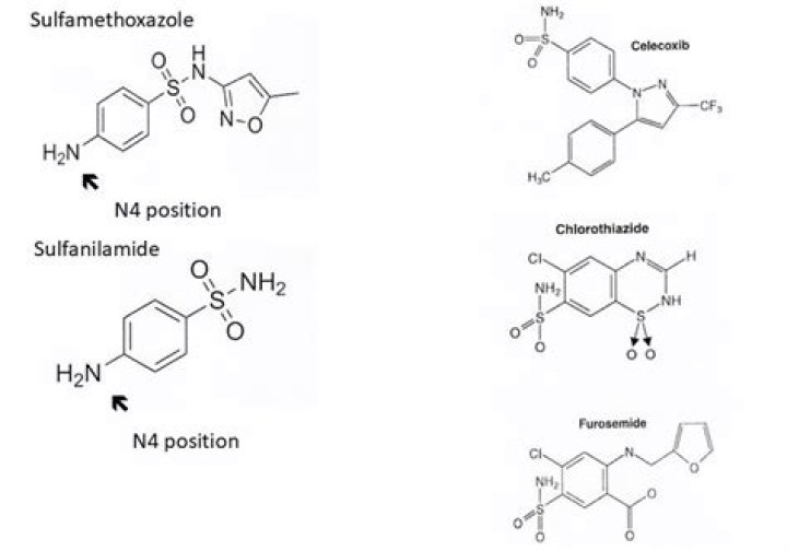 Does Silvadene contain sulfa?