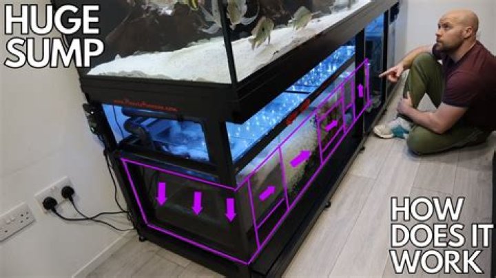 How a sump works for aquarium?