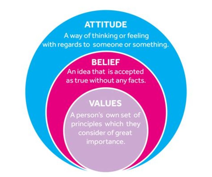 How can the anti bias movement affect a teacher's values and attitudes?