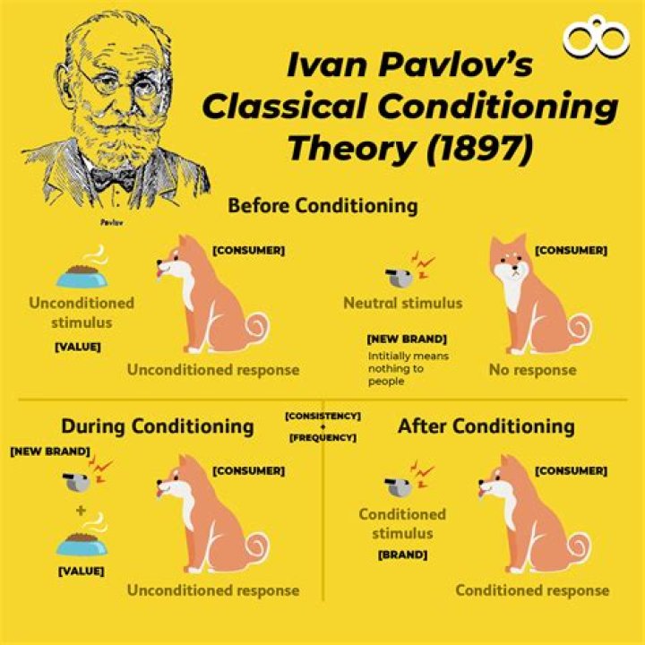How did Ivan Pavlov discover classical conditioning?