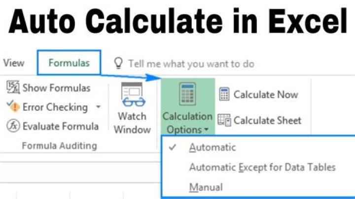 How do I Auto calculate cells in Excel?
