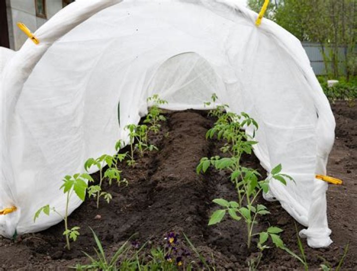 How do row covers work?