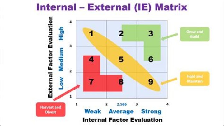 How do you explain IFE Matrix?