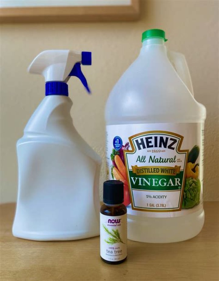 How do you make ant killer spray?