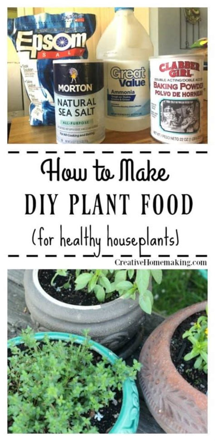 How do you make your own plant food at home?