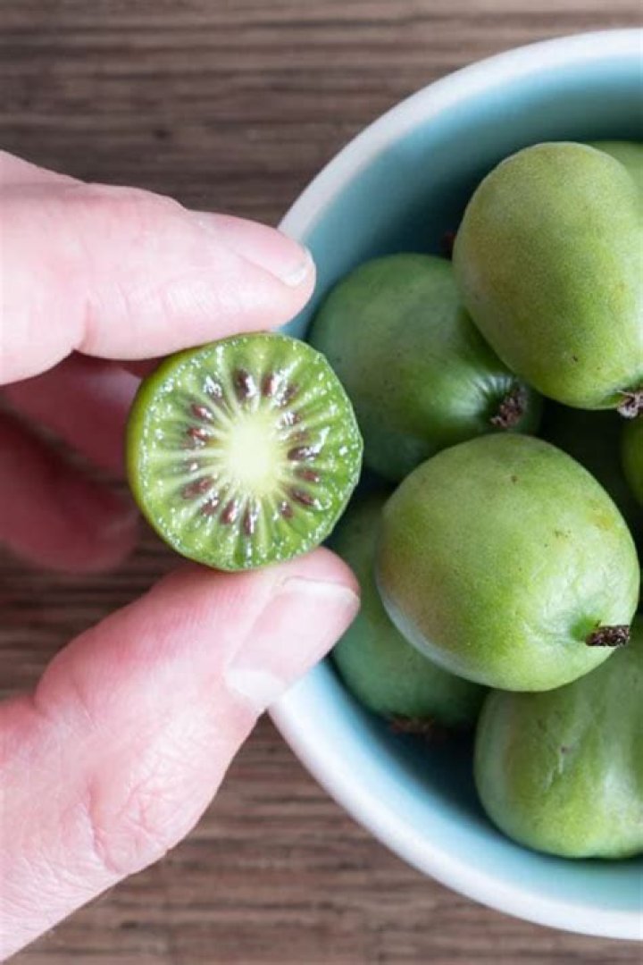 How do you plant issai Kiwi?
