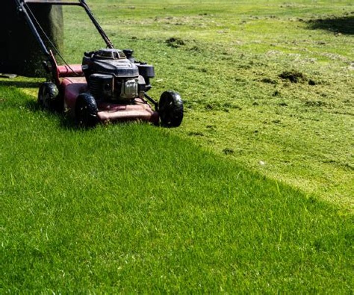 How do you use a mulching mower?