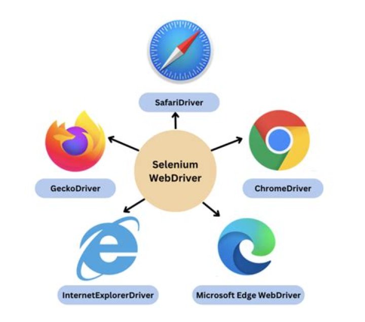 How does selenium interact with the Web browser?