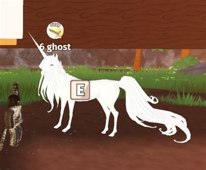How does Spirit Bear end?