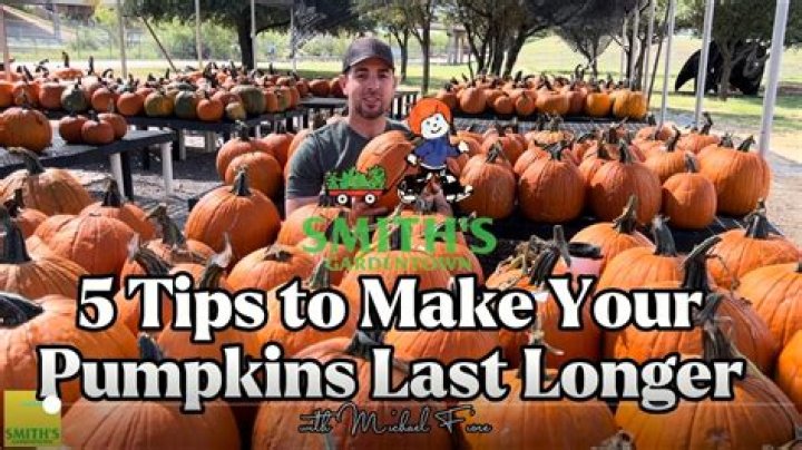 How long will mini pumpkins last?