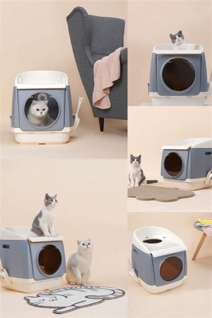 How many litter boxes do you need for 2 cats?