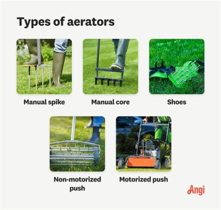 How much is it to rent an aerator?