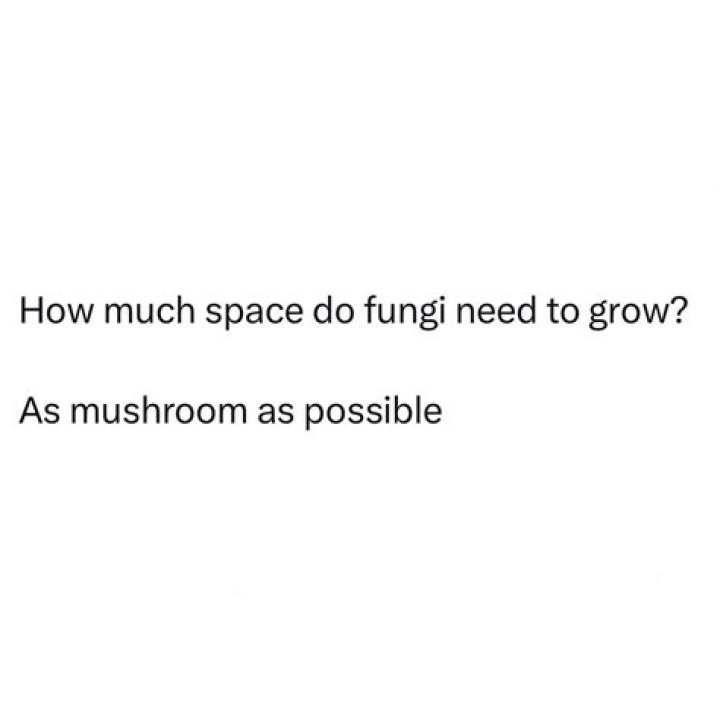 How much space do you need to grow mushrooms?