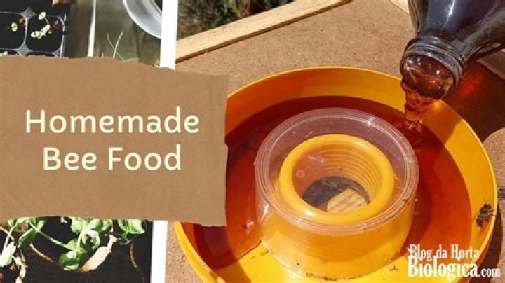 How much sugar syrup should I feed my bees?