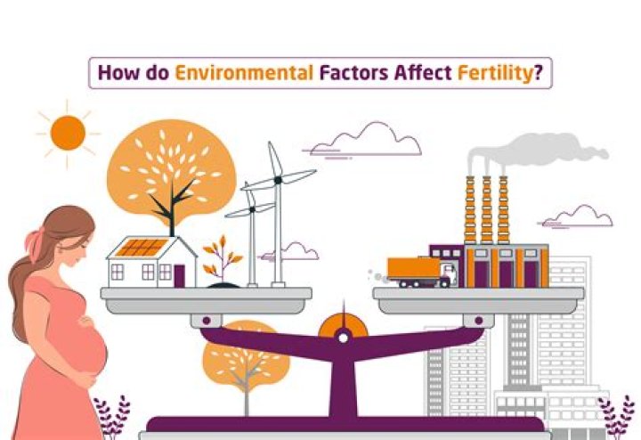 Is family an environmental factor?