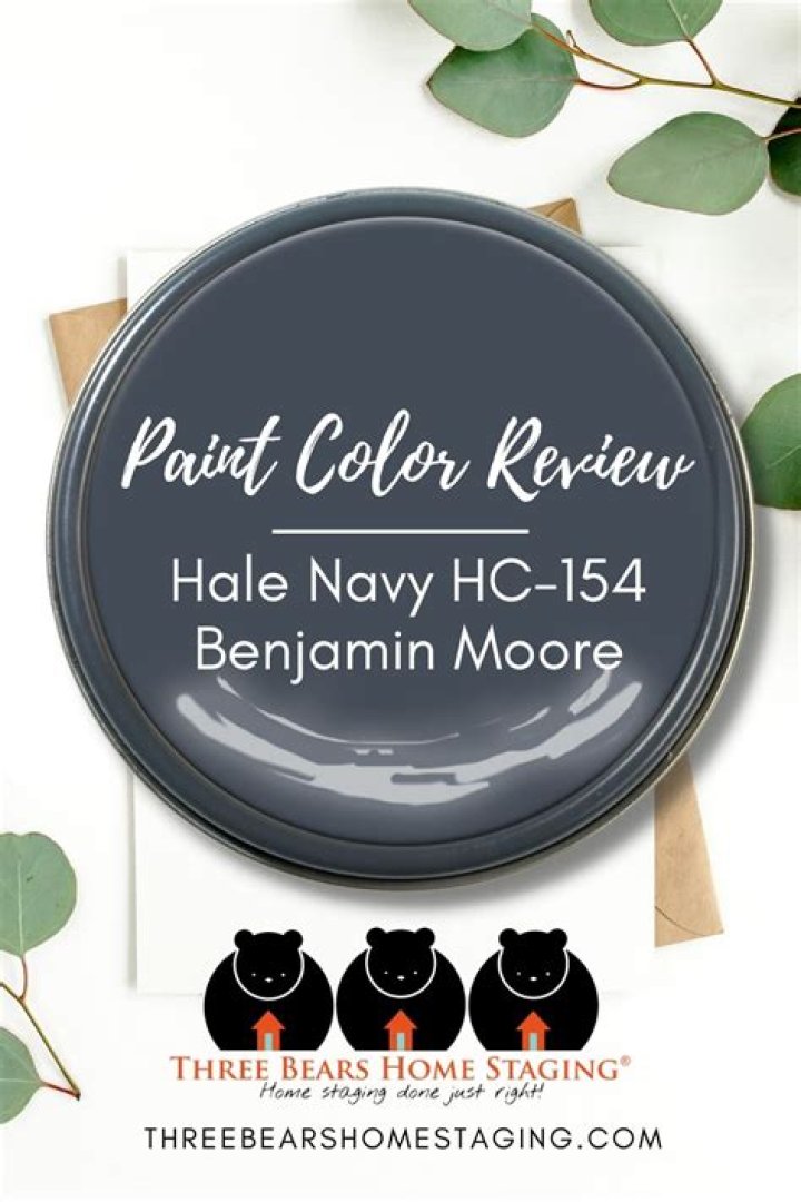 Is Hale Navy warm or cool?