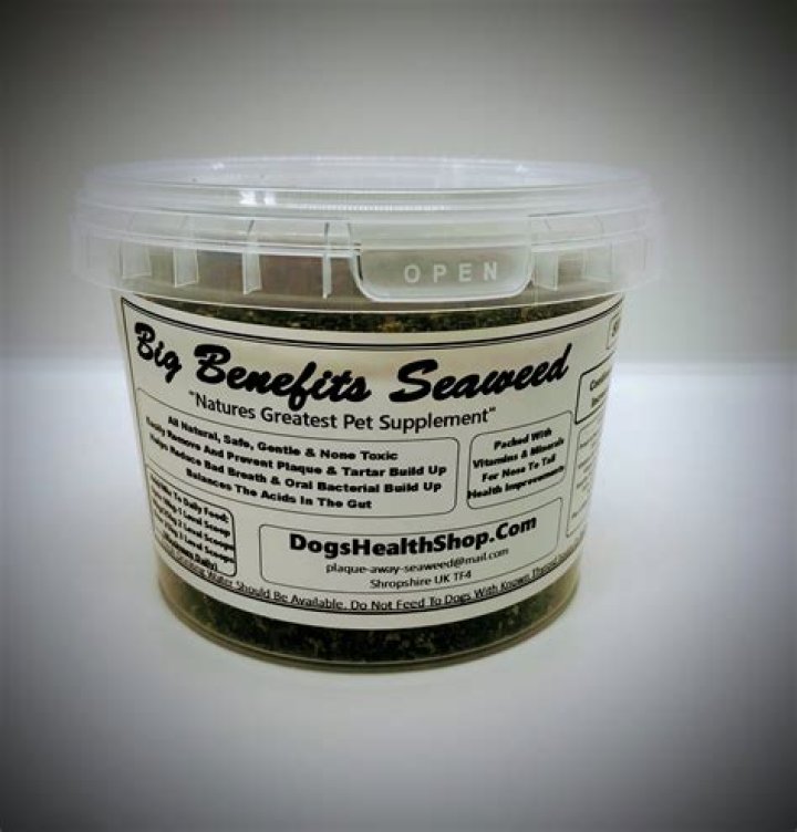 Is seaweed bad for dogs?