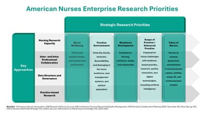 What are nursing research priorities?