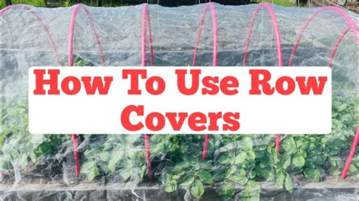 What are row covers made of?