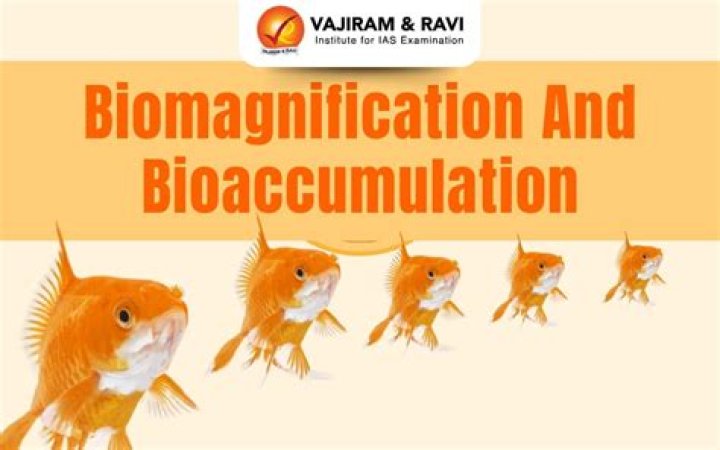 What are some examples of bioaccumulation?