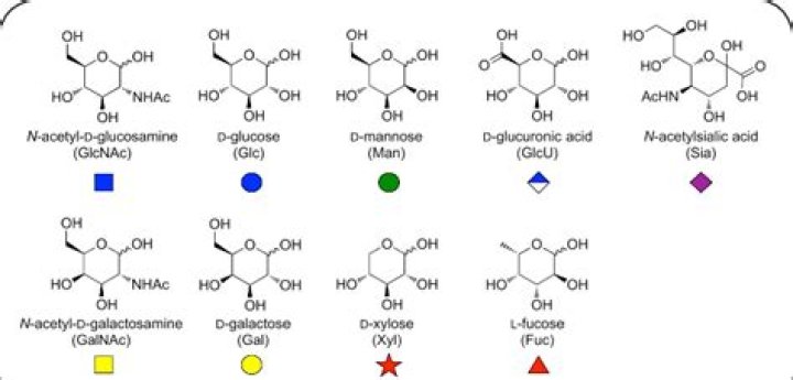 What are the chemical properties of monosaccharides?