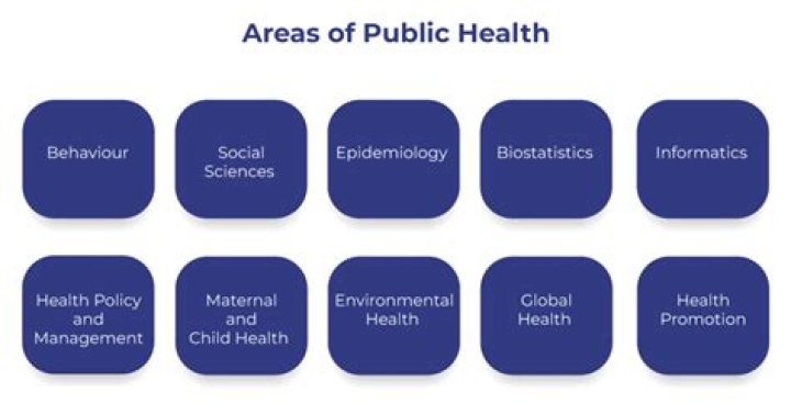 What are the core areas of public health?