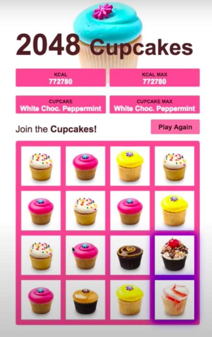 What are the cupcakes in 2048 cupcakes?