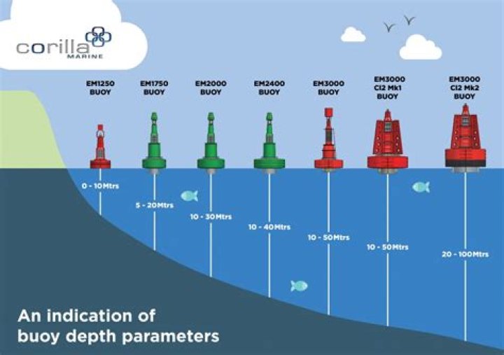 What are the different types of buoys?