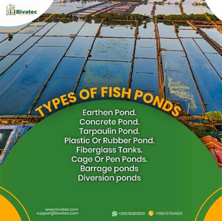What are the different types of ponds?