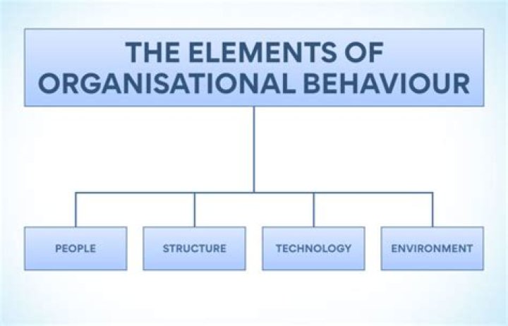 What are the ethical issues in organizational behavior?