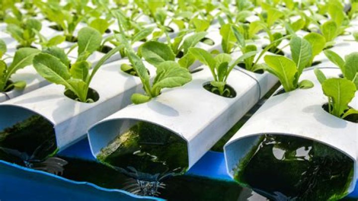 What are the materials used in hydroponics?