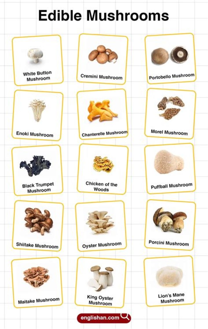 What are the names of edible mushrooms?