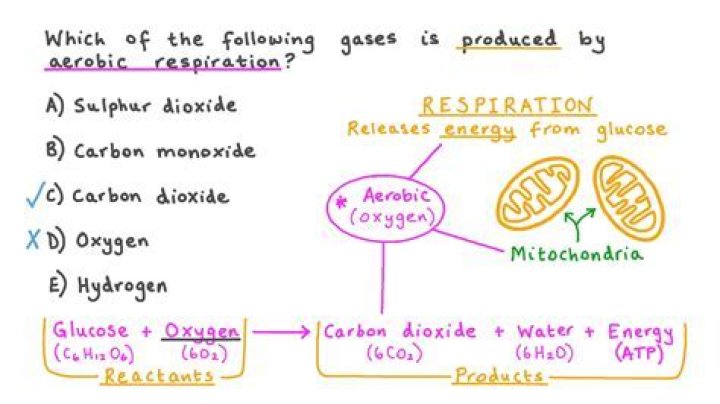 What are the start and end products of aerobic respiration?