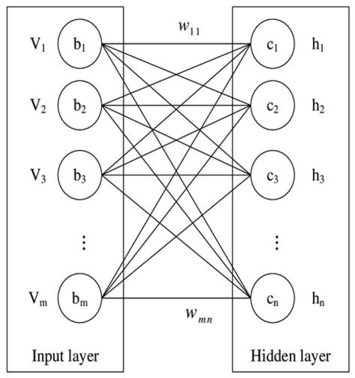 What are the two layers of a restricted Boltzmann machine?