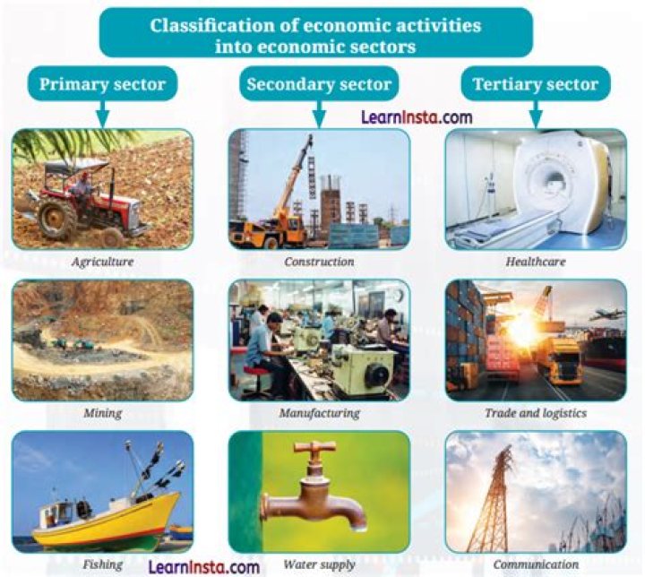 What are the two sectors of economy?