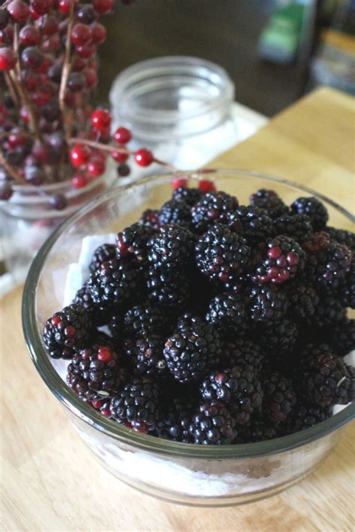 What can I do with fresh picked blackberries?