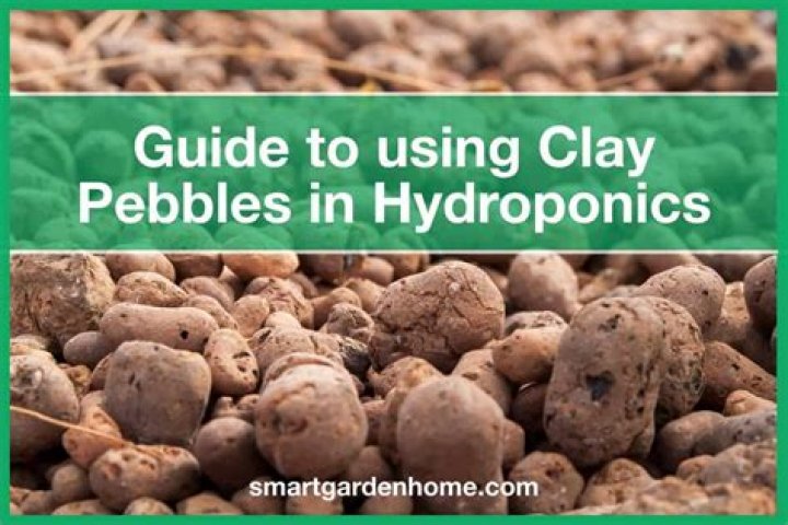 What can I use instead of clay pebbles?