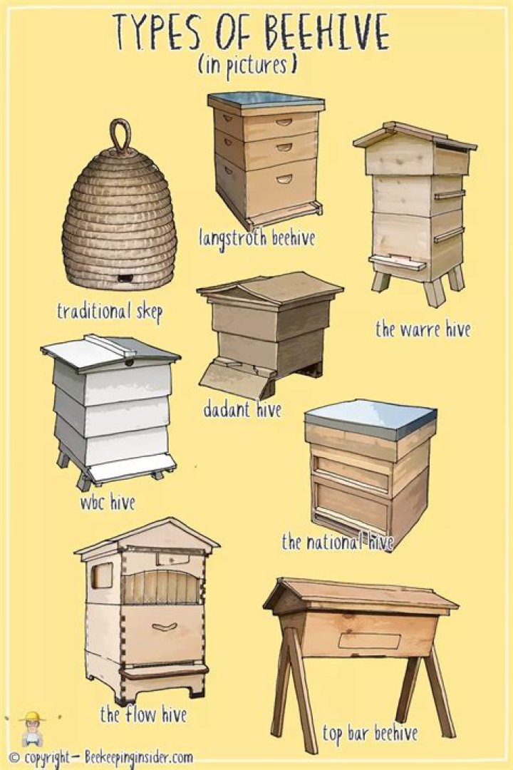 What city is known for beehives?