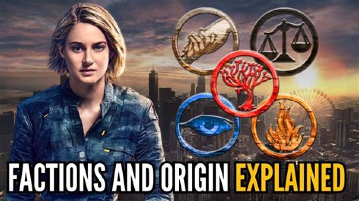 What do each of the factions in divergent mean?