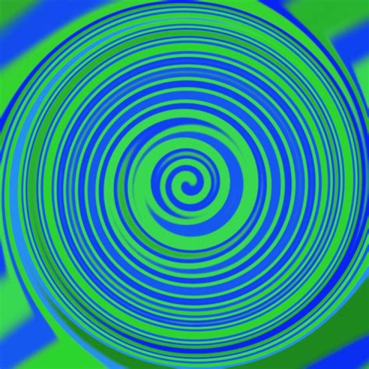 What do green clown gobies eat?