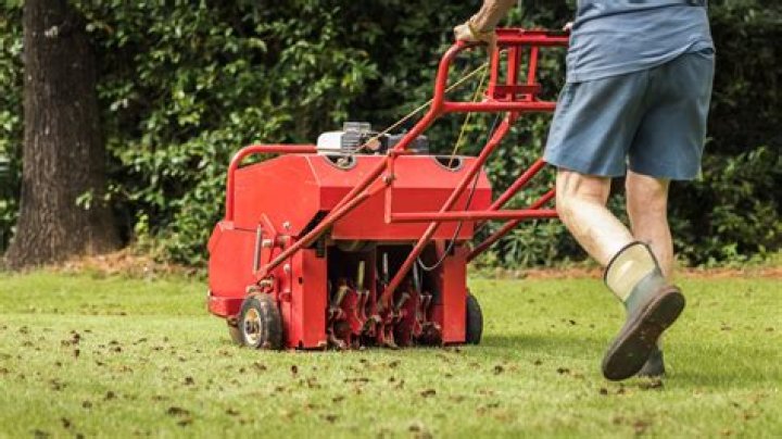 What does a lawn plugger do?