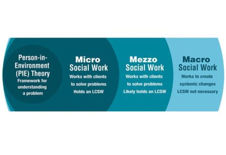 What does a macro social worker do?