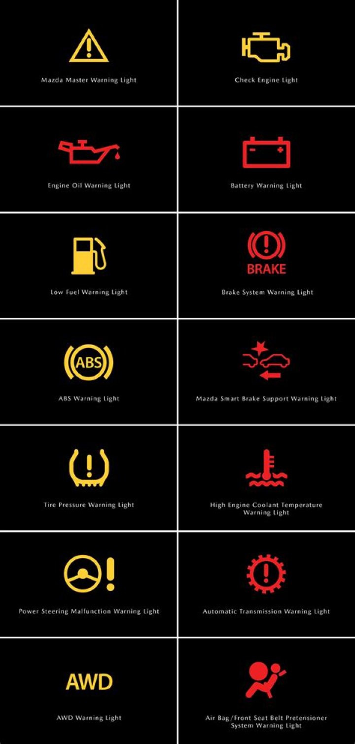 What does an alternator warning light look like?