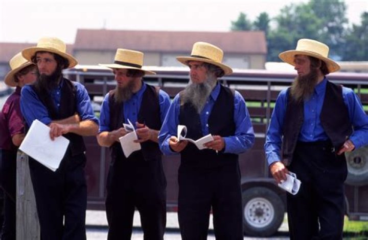 What does Old Order Amish mean?